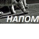 Каролінка Ман фотография #50 (источник - https://vk.com/id145816300)