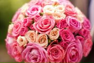 Юлія Іванцова фотография #7 (источник - https://vk.com/id9906549)