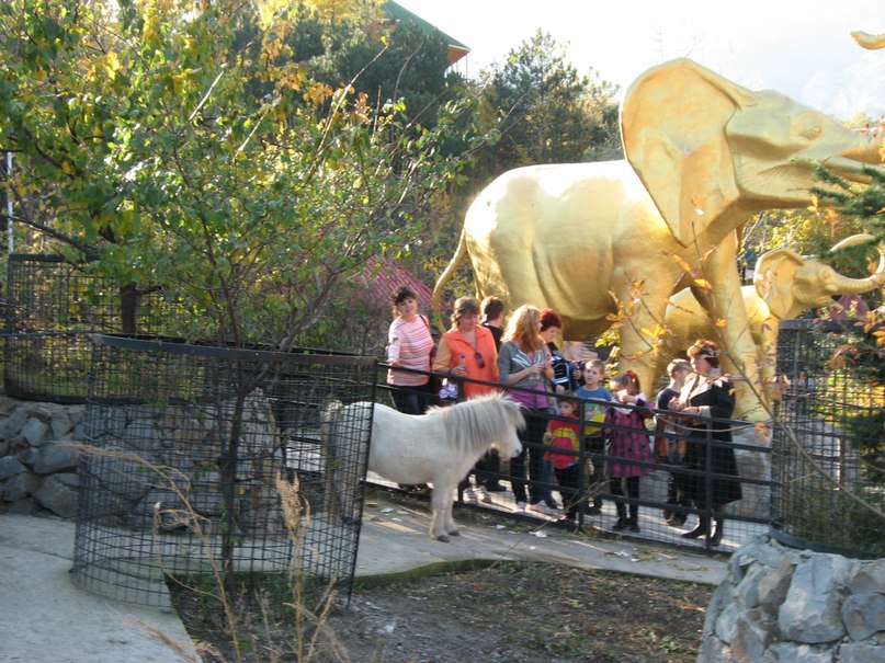 Коля Приходько фотография #14