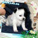 Фотография Коротаевой Ольги