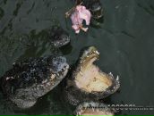 Фотография Новожилова Леонида