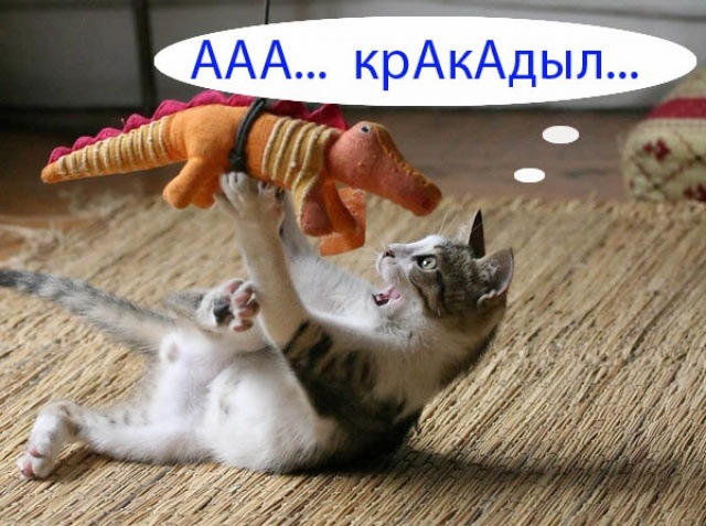 Иван Евтушенко фотография #12