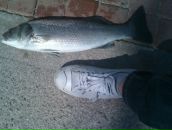 Boncuk Boncuk фотография #10 (источник - https://vk.com/id93107984)