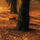 Жанна Щічко фотография #34 (источник - https://vk.com/id133268671)