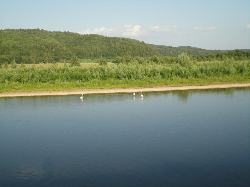 Наталья Пушкарева фотография #46