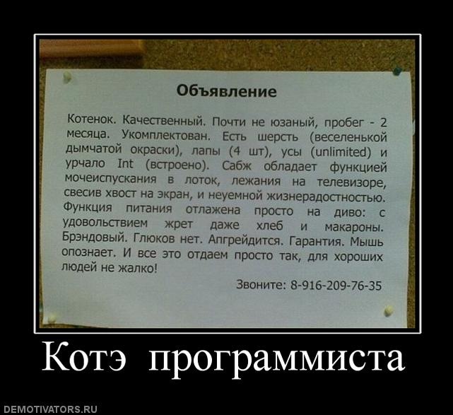 Коля Левченко фотография #20