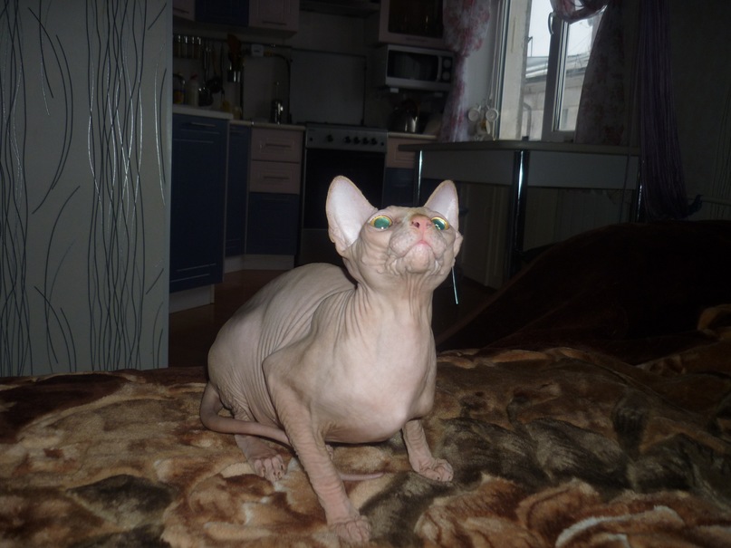 Дмитрий Дмитрий фотография #37