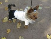 Фотография Петровой Светланы