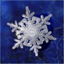 Андрей Мельников фотография #7 (источник - https://vk.com/id3496296)