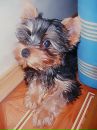 Паша Сердюк фотография #44 (источник - https://vk.com/id107458151)