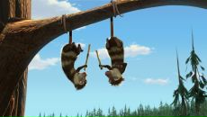 Фотография Крегеля Андрея