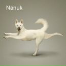 Фотография Погодиной Людмилы