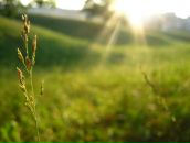 Фотография Ибуковой Марии