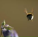 Фотография Беленковой Марии