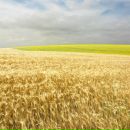 Антон Мищенко фотография #16 (источник - https://vk.com/id21482463)