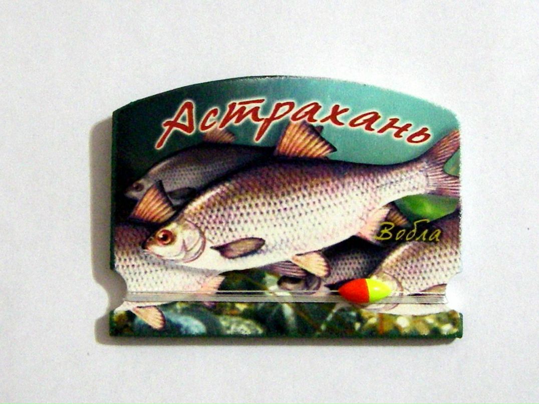 Сашка Блашка фотография #35