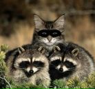 Arslan Andzhayev фотография #9 (источник - https://vk.com/id2425557)