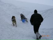 Фотография Петраускас Алёны