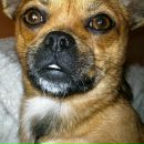 Фотография Крайновой Наталии