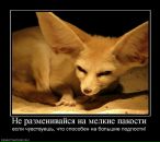Фотография Антон Владимирович