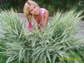 Фотография Корольковой Елены