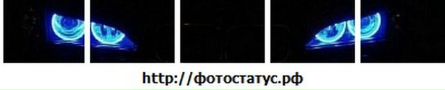 Максим Лейміч фотография #17 (источник - https://vk.com/id65913981)