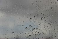 Фотография Юлия Алёхно