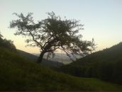 Юрій Мішуровський фотография #22 (источник - https://vk.com/id36709363)