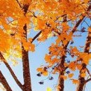 Євгенія Пісцо фотография #23 (источник - https://vk.com/id127833889)