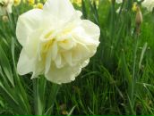 Світлана Чухій фотография #50 (источник - https://vk.com/id52486661)