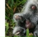 Людмила Сусідик фотография #50 (источник - https://vk.com/id5405046)