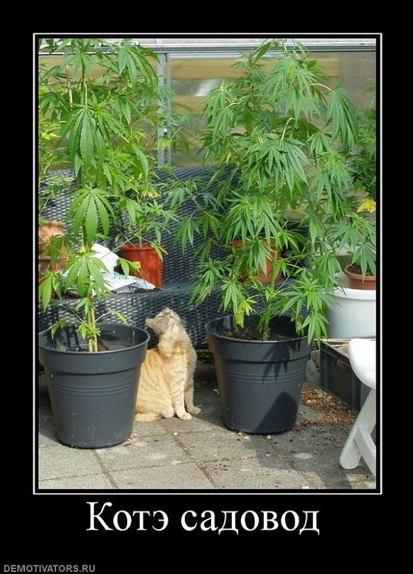 Димитрий Щербаков фотография #31