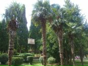 Данило Ваврів фотография #21 (источник - https://vk.com/id66788009)