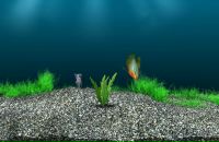 Яна Кіцул фотография #6 (источник - https://vk.com/id143290004)