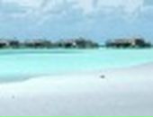 Міша Савляк фотография #42 (источник - https://vk.com/id75674043)