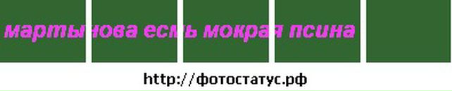 Sofa Sofa фотография #42 (источник - https://vk.com/id2776916)