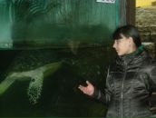 Каріна Мартинюк фотография #20 (источник - https://vk.com/id113585355)