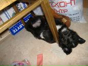 Фотография Нивиной Екатерины