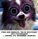 Фотография Фурсы Виктории