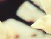 Наталія Микита фотография #18 (источник - https://vk.com/id5719502)