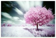 Фотография Юртаевой Ирины