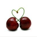 Cherry * фотография #3 (источник - https://vk.com/id148930137)