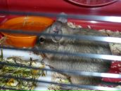 Виктор Логвин фотография #24 (источник - https://vk.com/id1749928)