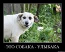 Сергей Шугаев фотография #7 (источник - https://vk.com/id1165645)