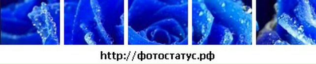 Каріна Гаврилюк фотография #25 (источник - https://vk.com/id57185359)