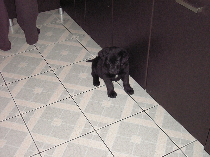 Егор Хованский фотография #13