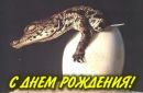 Артур Діброва фотография #32 (источник - https://vk.com/id161911989)