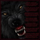 Діма Петрович фотография #29 (источник - https://vk.com/id87740300)