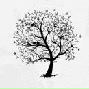 Sora ^_^ фотография #9 (источник - https://vk.com/id141503192)