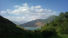 Фотография Огнева Евгения